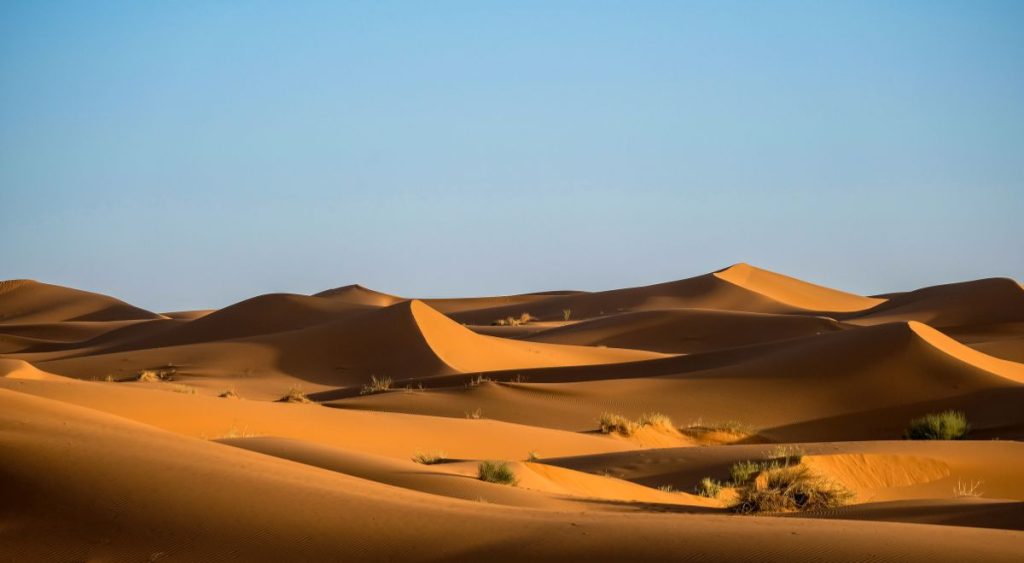 Lahbab Desert Safari